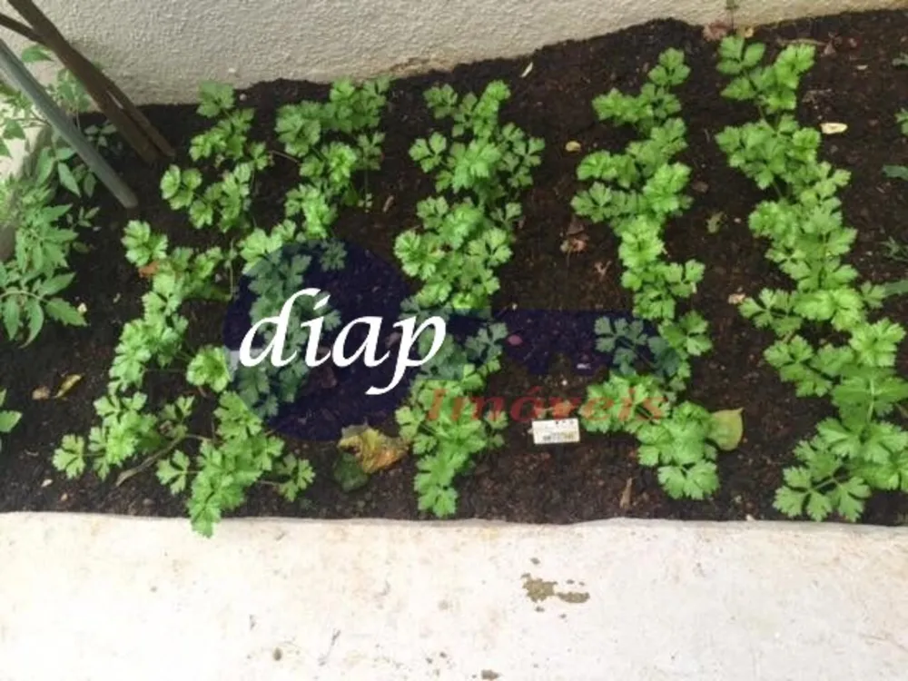 Apartamento, 3 quartos, 100 m² - Foto 4