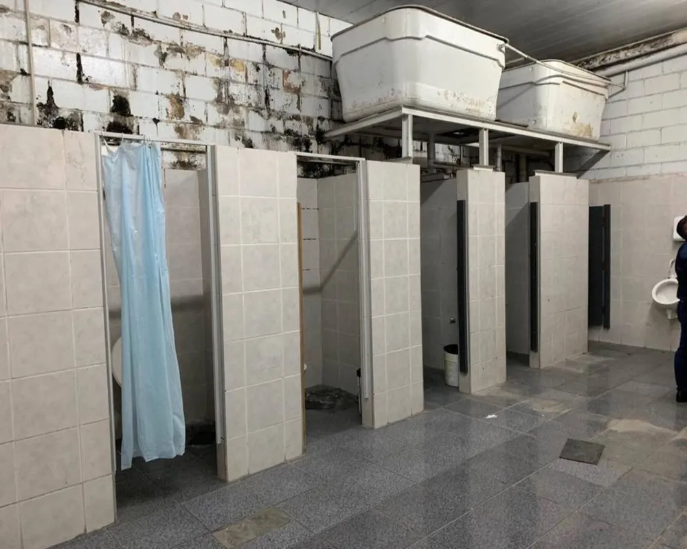 Depósito-Galpão, 1000 m² - Foto 2