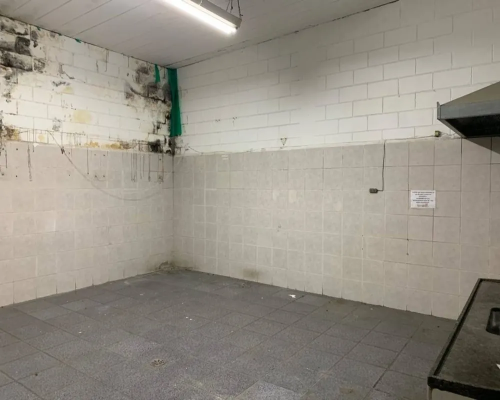 Depósito-Galpão, 1000 m² - Foto 1