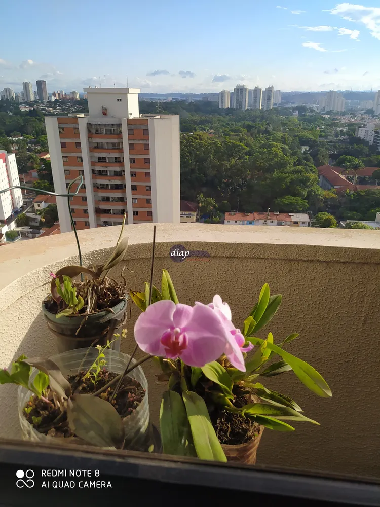 Prédio Inteiro, 963 m² - Foto 8