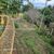 Terreno, 2860 m² - Foto 4