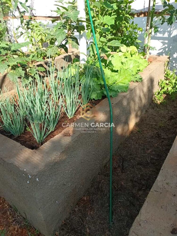Casa à venda com 3 quartos, 1000m² - Foto 4