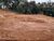 Terreno, 1 hectares - Foto 2