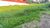 Terreno, 574 m² - Foto 6