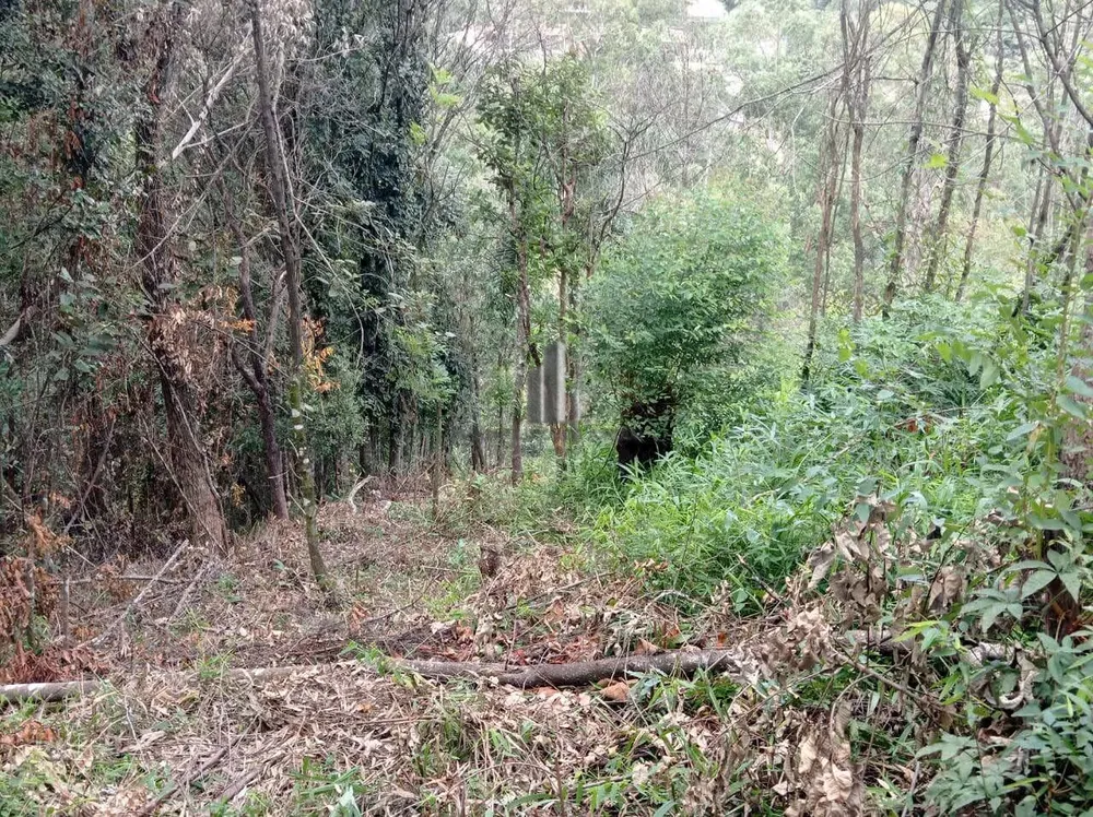 Terreno, 1954 m² - Foto 13