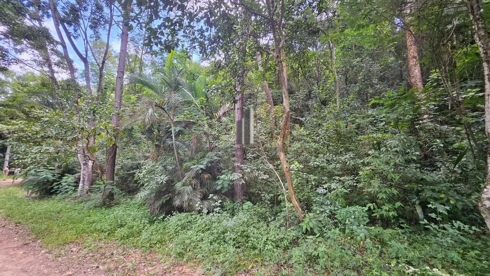 Terreno, 1954 m² - Foto 11