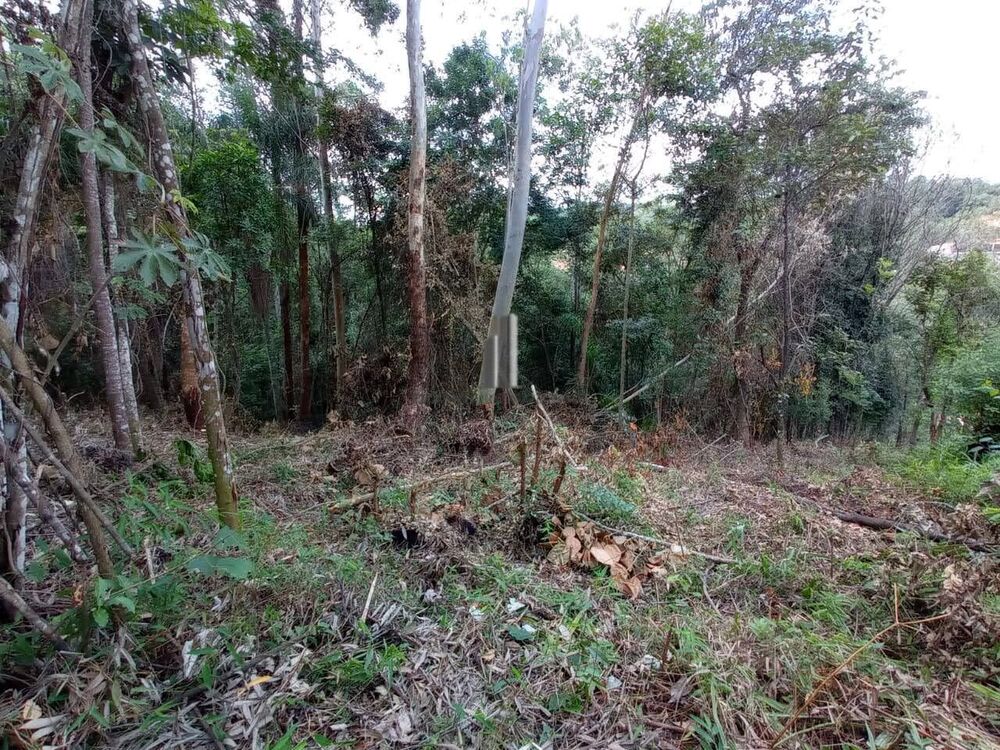 Terreno, 1954 m² - Foto 4