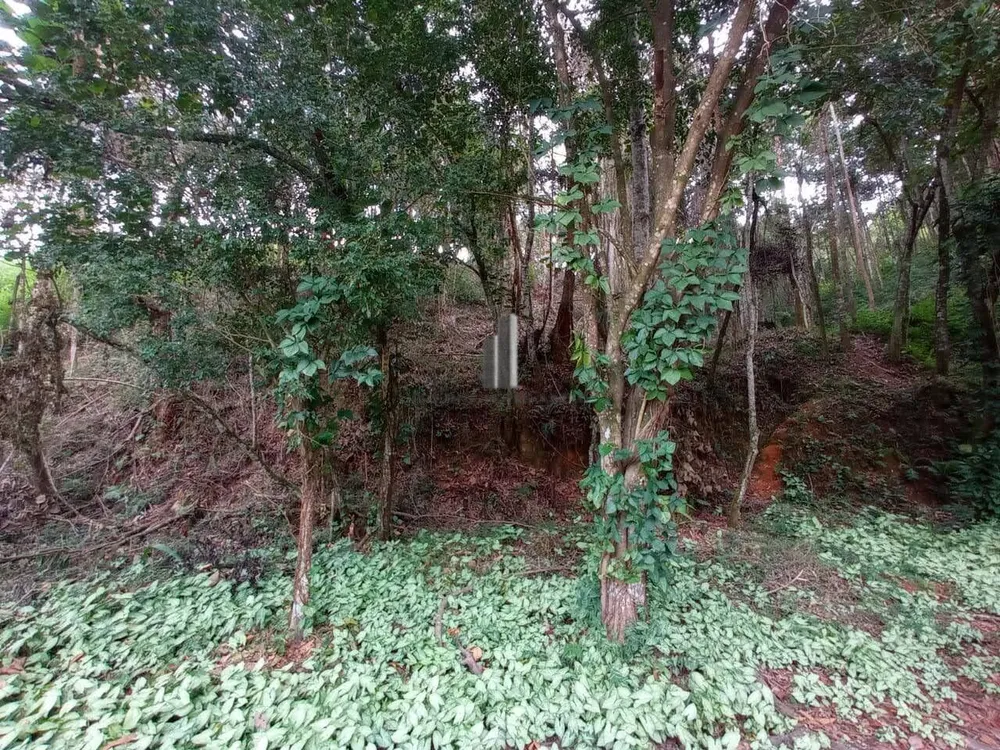 Terreno, 1954 m² - Foto 10