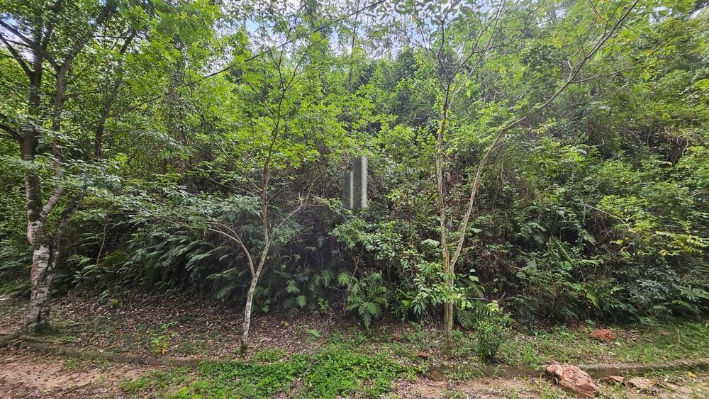 Terreno, 1954 m² - Foto 6