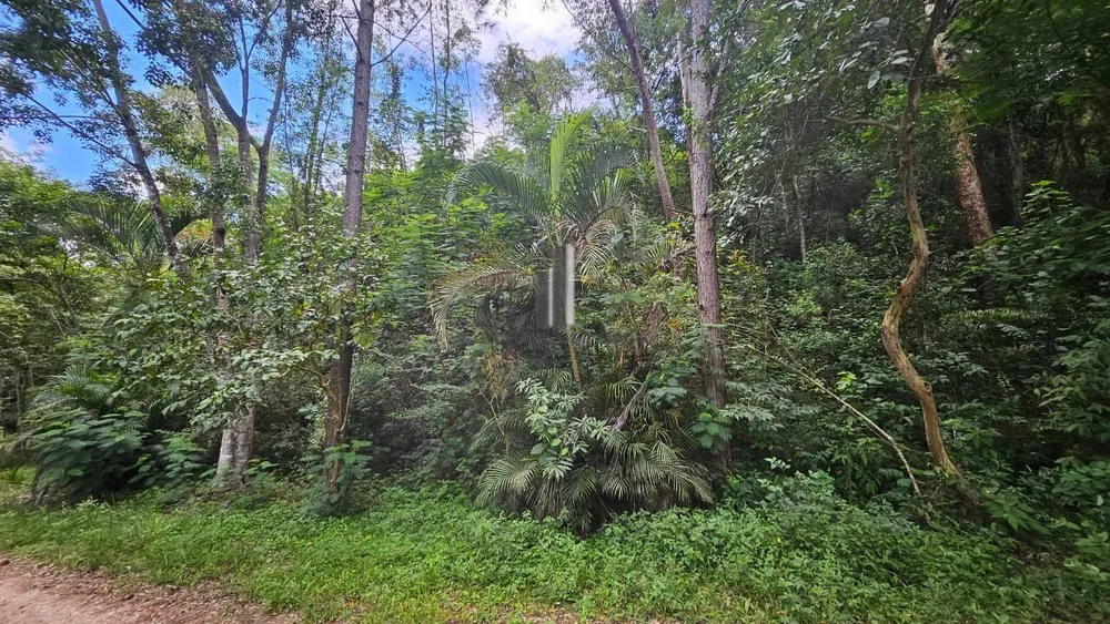 Terreno, 1954 m² - Foto 9