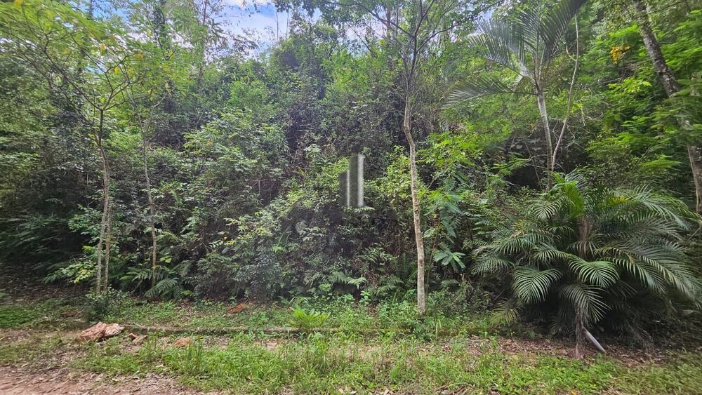 Terreno, 1954 m² - Foto 8