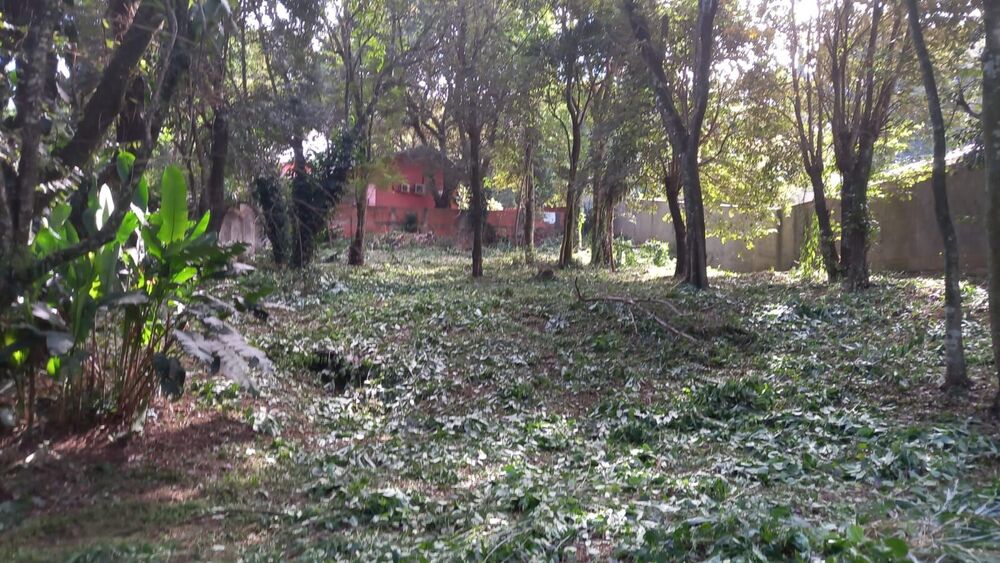 Terreno, 1000 m² - Foto 2