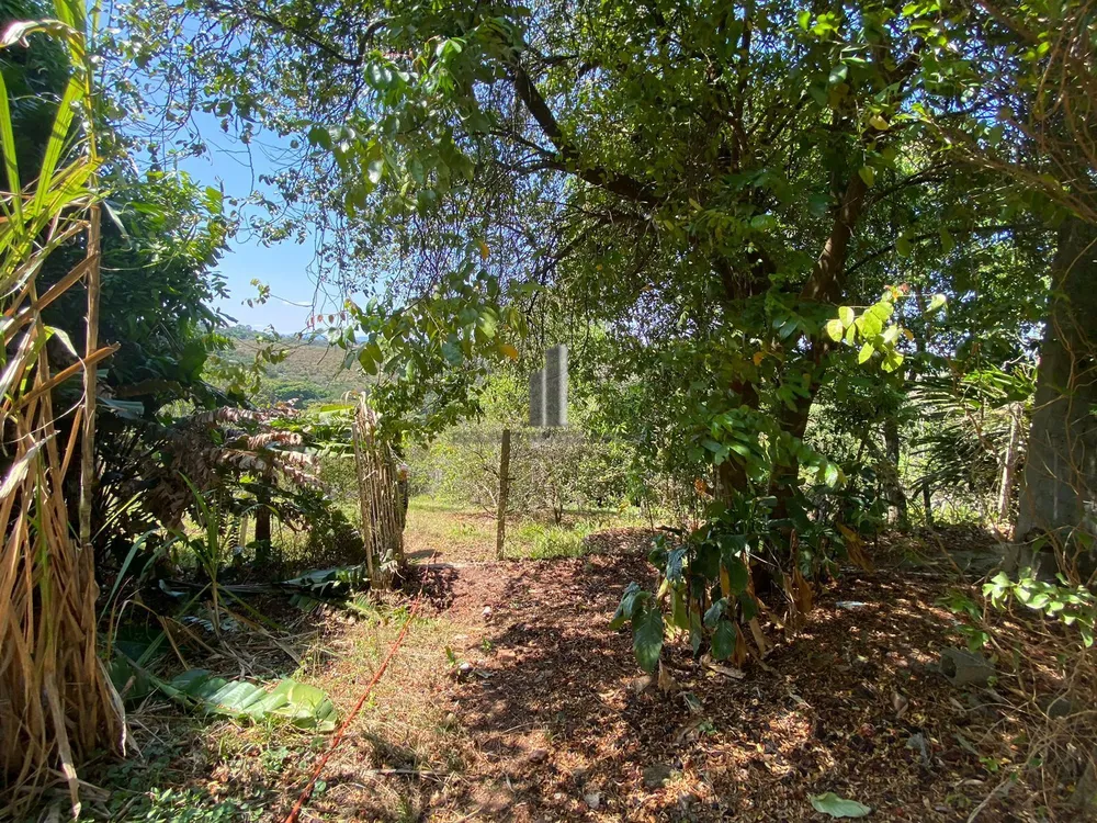 Chácara, 2 quartos, 2 hectares - Foto 9