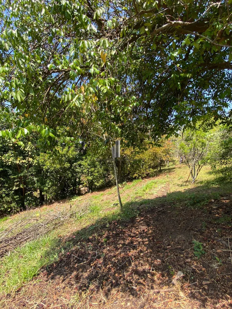 Chácara, 2 quartos, 2 hectares - Foto 7