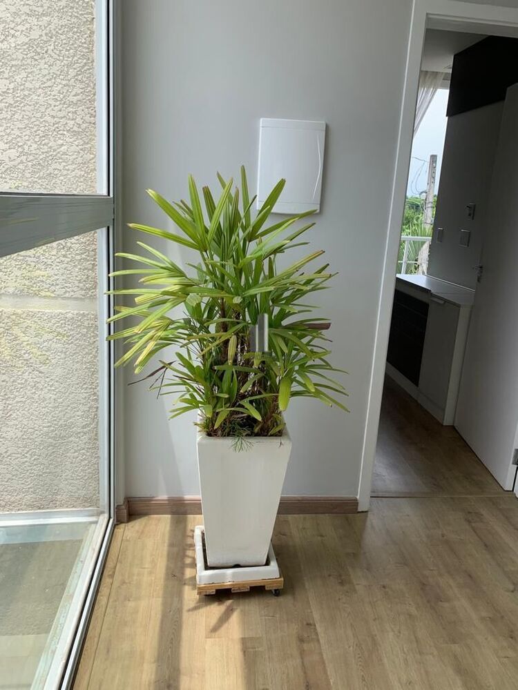 Casa de Condomínio à venda com 3 quartos, 161m² - Foto 6