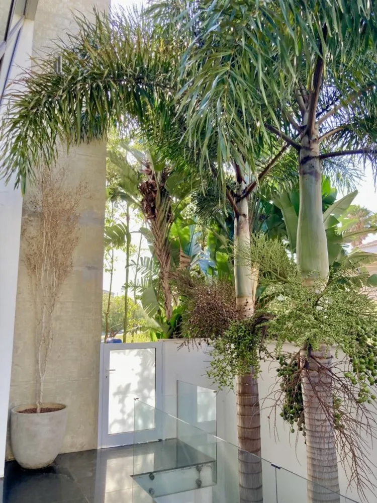 Casa, 4 quartos, 600 m² - Foto 18