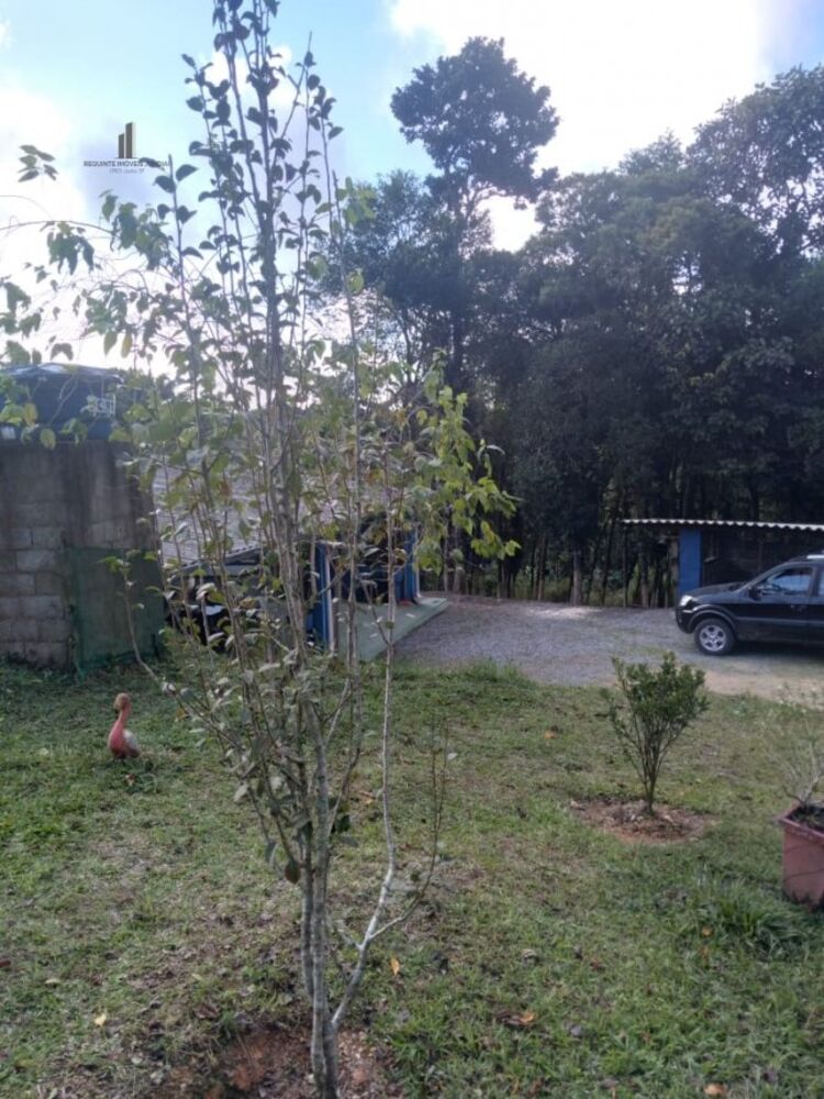 Sítio à venda, 25000m² - Foto 5