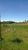 Fazenda-Sítio-Chácara, 53 hectares - Foto 8