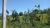 Fazenda-Sítio-Chácara, 53 hectares - Foto 9