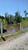 Fazenda-Sítio-Chácara, 53 hectares - Foto 6