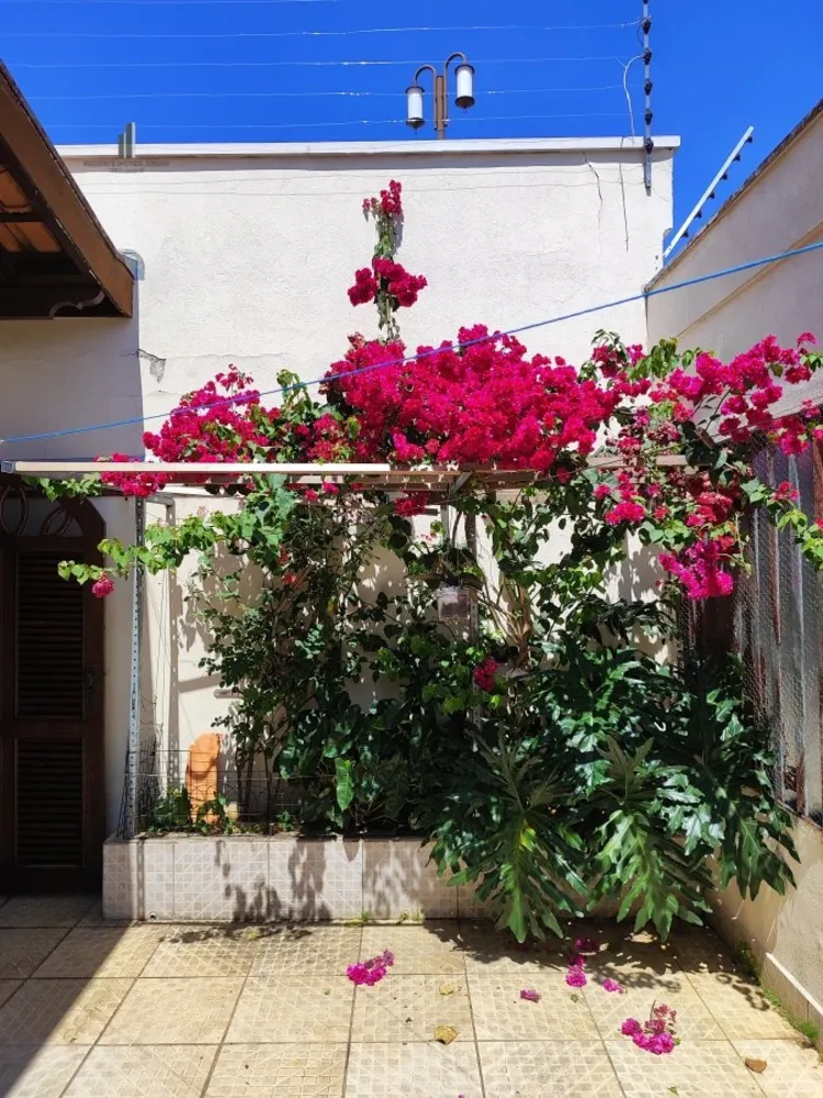 Casa, 3 quartos, 184 m² - Foto 11