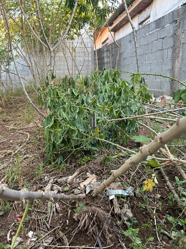 Terreno, 350 m² - Foto 28