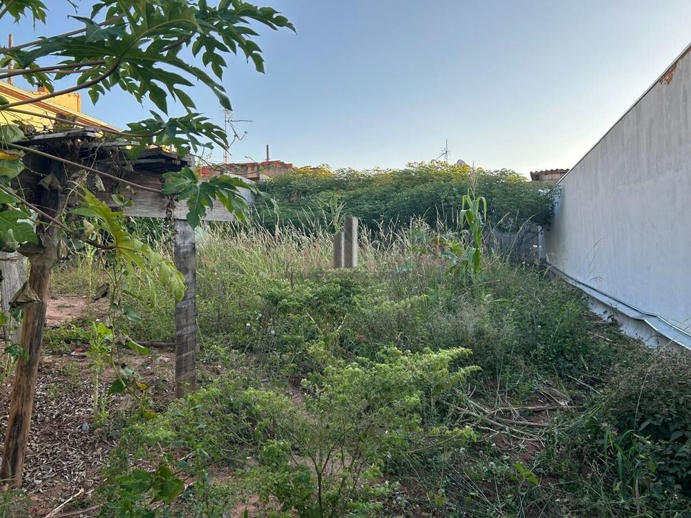 Terreno à venda, 350m² - Foto 4