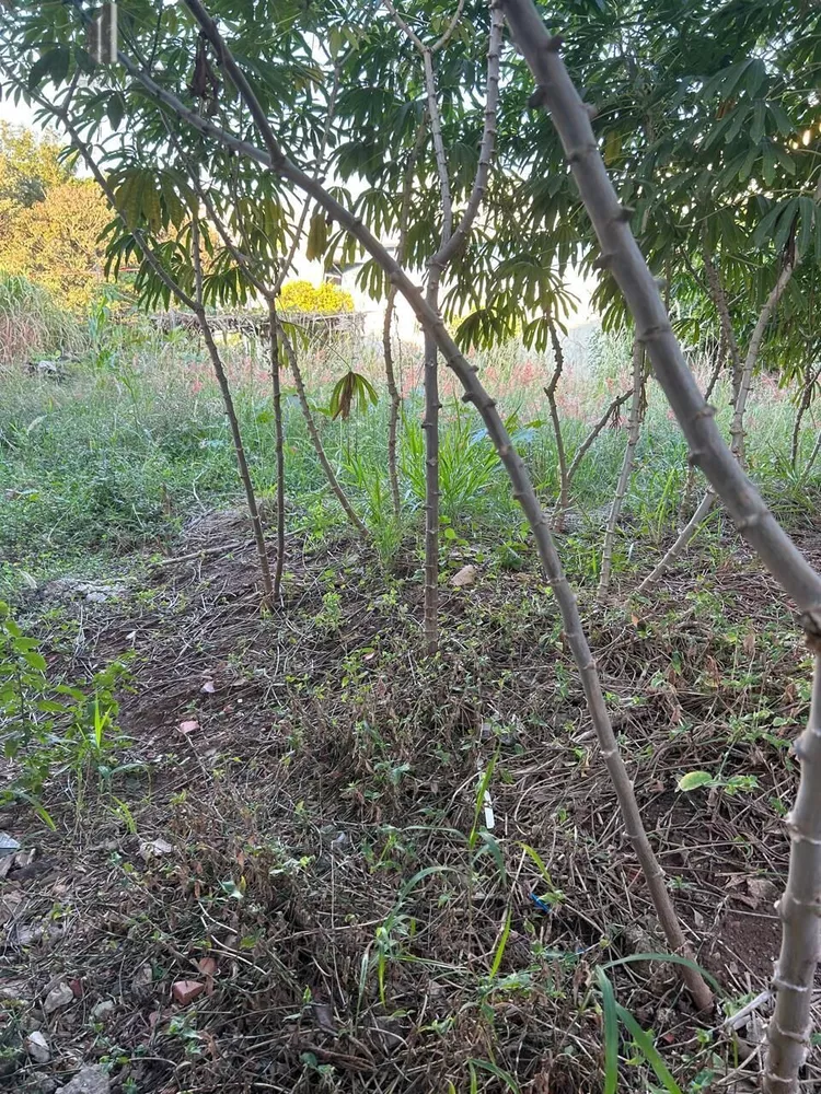 Terreno à venda, 350m² - Foto 14