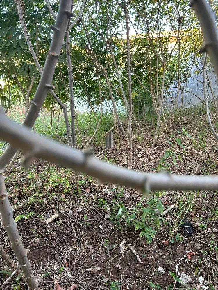Terreno, 350 m² - Foto 32