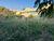 Terreno, 350 m² - Foto 1