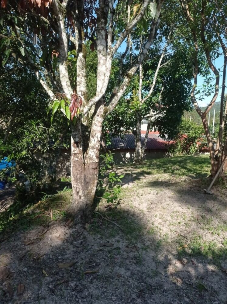 Casa à venda com 4 quartos, 150m² - Foto 14