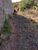 Terreno, 600 m² - Foto 2