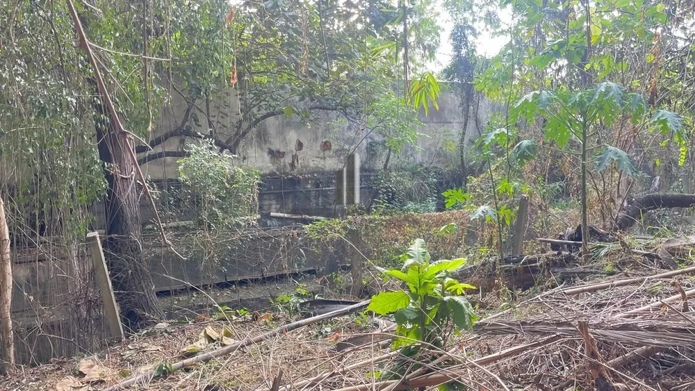 Terreno, 1957 m² - Foto 10