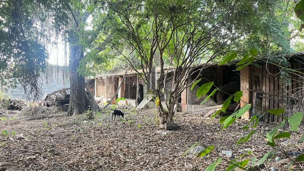 Terreno, 1957 m² - Foto 6