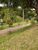 Terreno, 250 m² - Foto 4