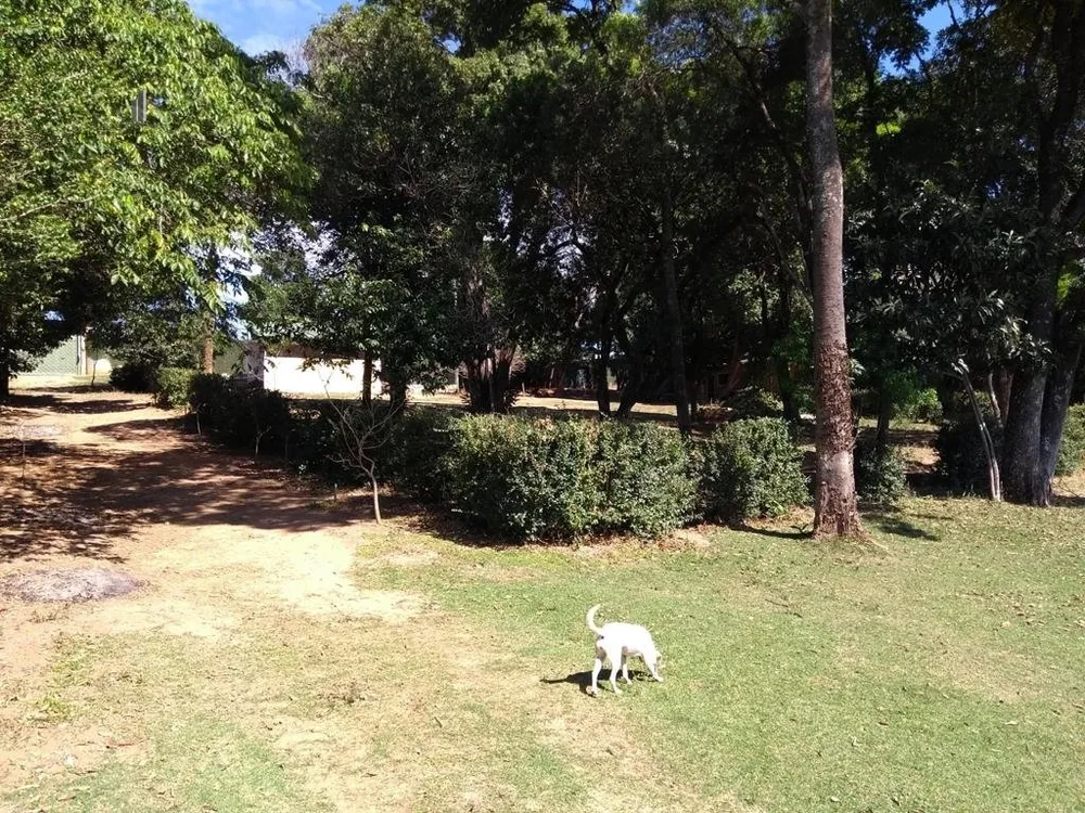 Chácara, 2 quartos, 2 hectares - Foto 16