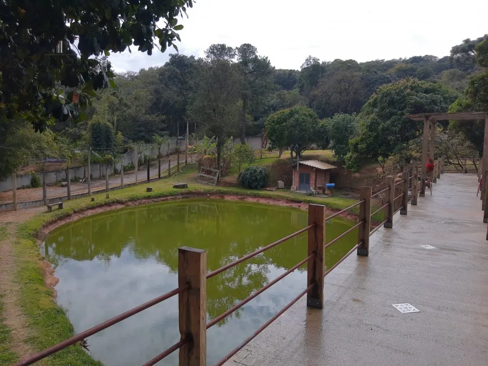 Chácara, 3 quartos, 7000 m² - Foto 3