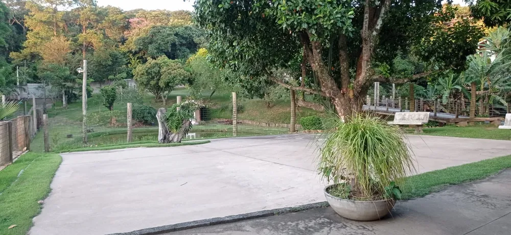 Chácara, 3 quartos, 7000 m² - Foto 8