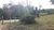Sítio, 10 hectares - Foto 9
