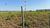 Terreno, 2 hectares - Foto 2