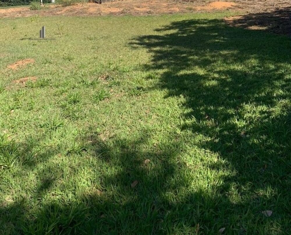 Terreno, 1000 m² - Foto 1