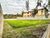 Terreno, 1000 m² - Foto 2