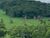 Fazenda-Sítio-Chácara, 121 hectares - Foto 3
