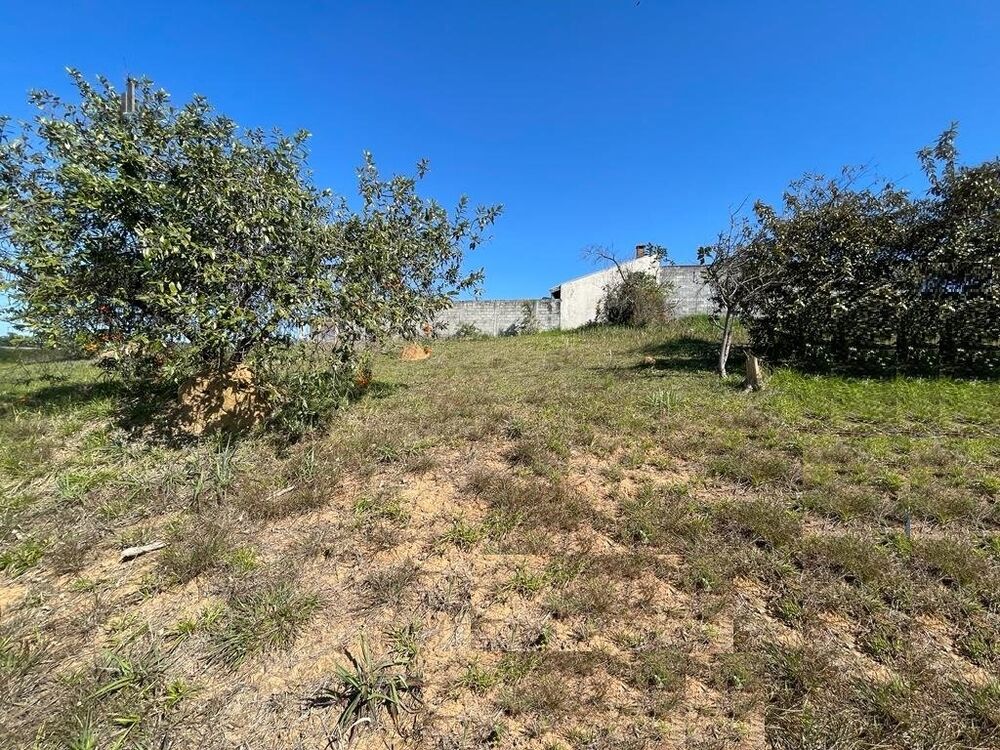 Terreno, 1000 m² - Foto 5
