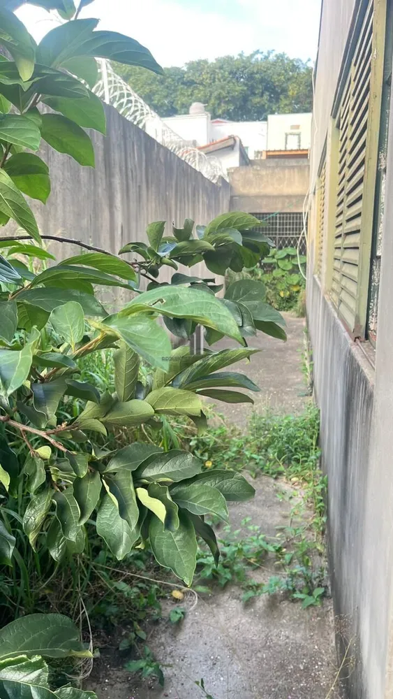 Casa, 3 quartos, 162 m² - Foto 12