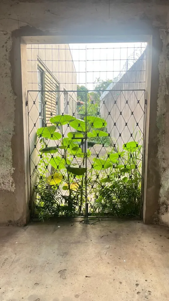 Casa, 3 quartos, 162 m² - Foto 19