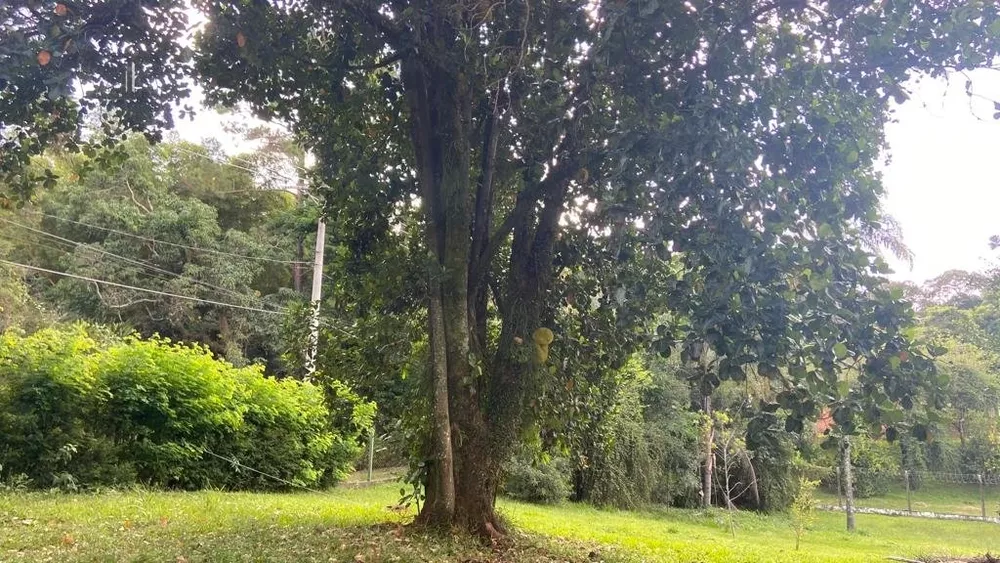 Terreno à venda - Foto 6