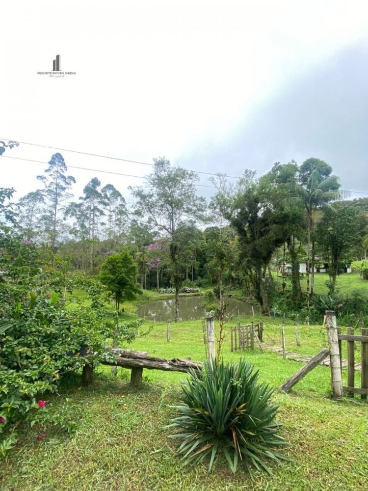 Sítio, 4 quartos, 3 hectares - Foto 19