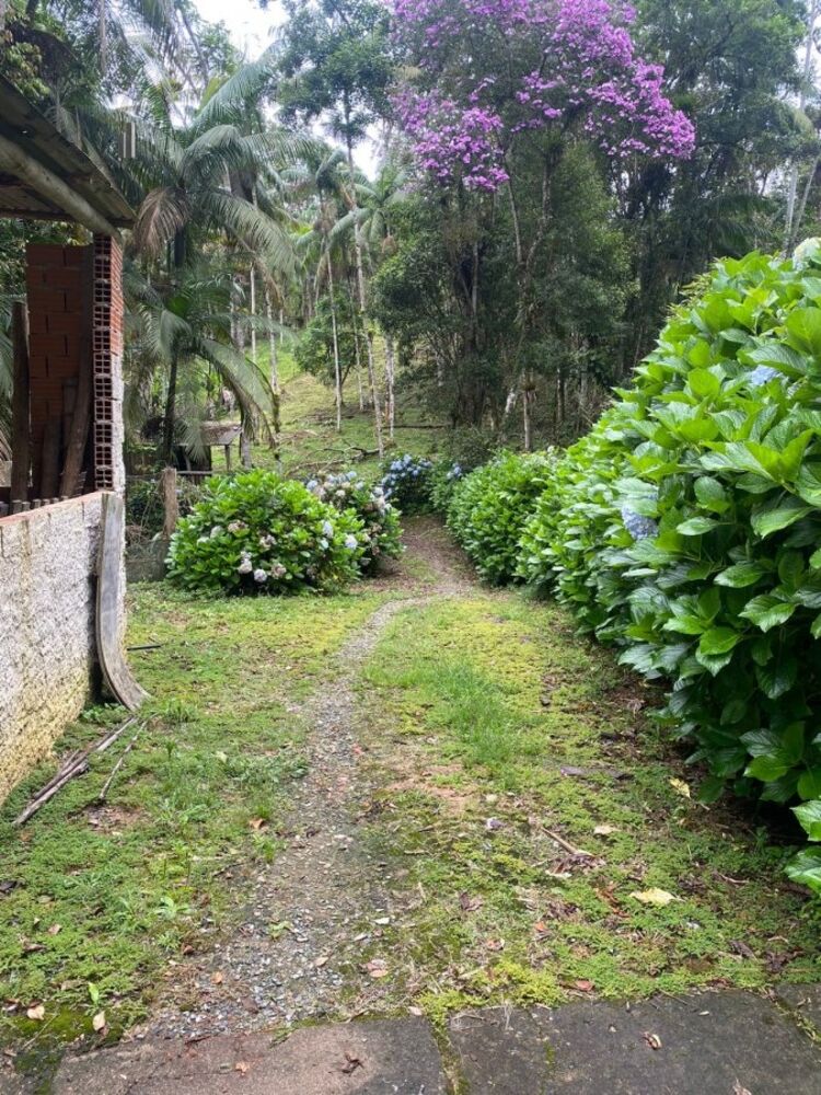 Sítio, 4 quartos, 3 hectares - Foto 18