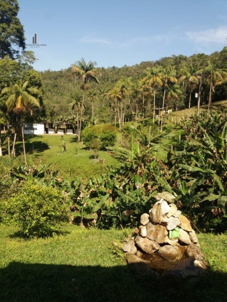 Sítio, 4 quartos, 3 hectares - Foto 6